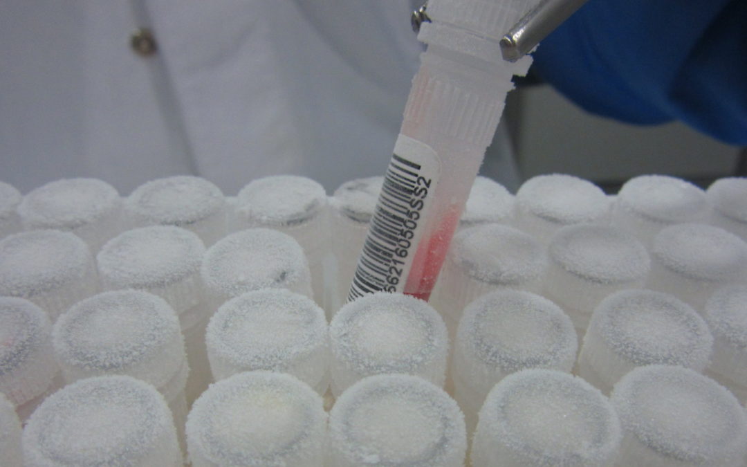 Spanish biobanks make available to the research 62,000 samples of COVID-19